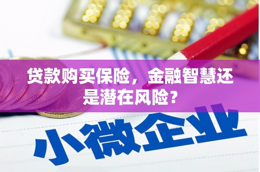 集美贷款购买保险，金融智慧还是潜在风险？