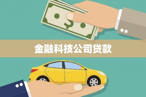 榆树金融科技公司贷款