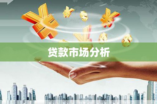 文成贷款市场分析