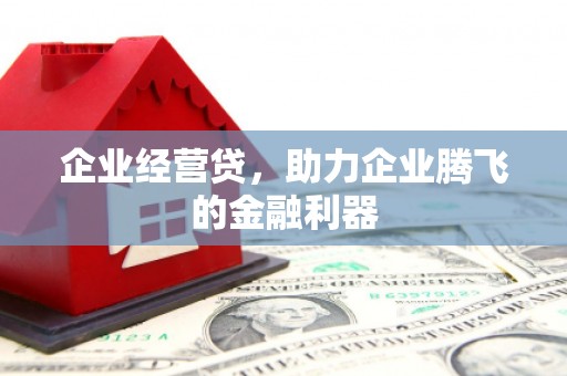 鹤岗企业经营贷，助力企业腾飞的金融利器