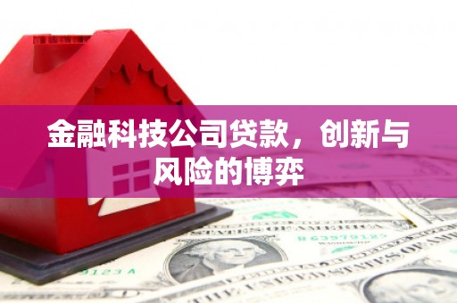 潭子金融科技公司贷款，创新与风险的博弈
