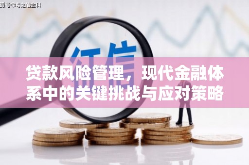 武侯贷款风险管理，现代金融体系中的关键挑战与应对策略
