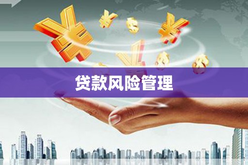 广水贷款风险管理