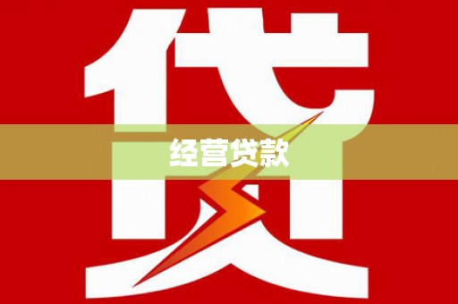 平果经营贷款
