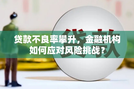谢通门贷款不良率攀升，金融机构如何应对风险挑战？
