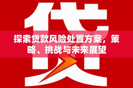 睢宁探索贷款风险处置方案，策略、挑战与未来展望