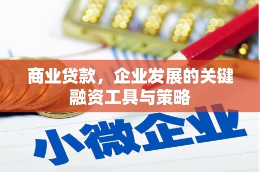 南开商业贷款，企业发展的关键融资工具与策略