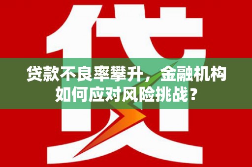 惠济贷款不良率攀升，金融机构如何应对风险挑战？