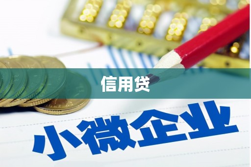共和信用贷