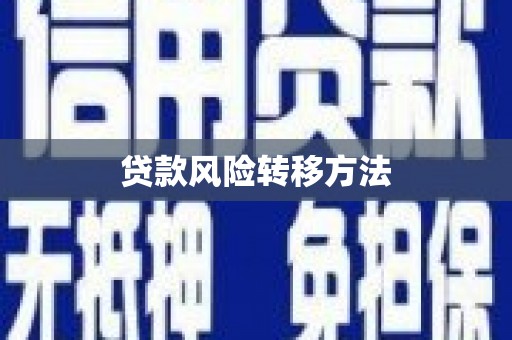 沙洋贷款风险转移方法 沙洋贷款风险转移方法