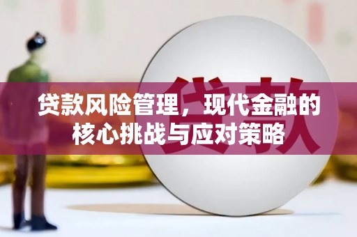 金昌贷款风险管理，现代金融的核心挑战与应对策略