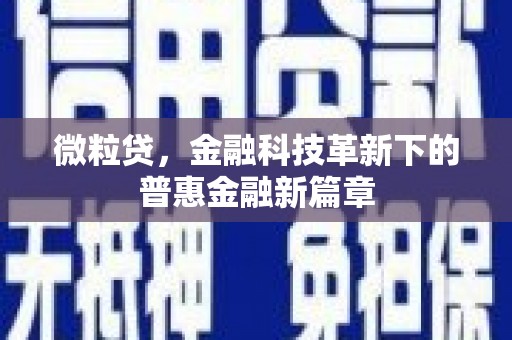 始兴微粒贷，金融科技革新下的普惠金融新篇章
