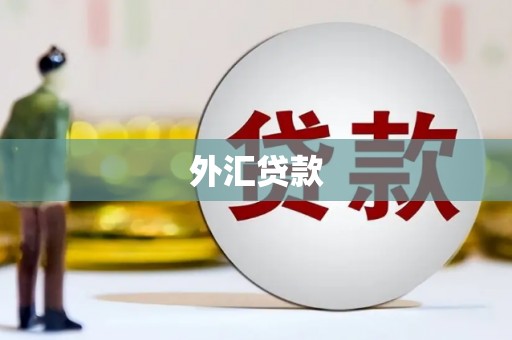 峡江外汇贷款