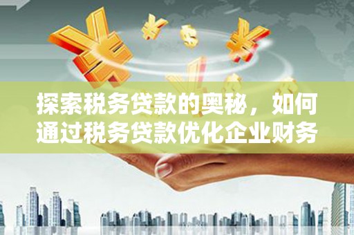 吴起探索税务贷款的奥秘，如何通过税务贷款优化企业财务