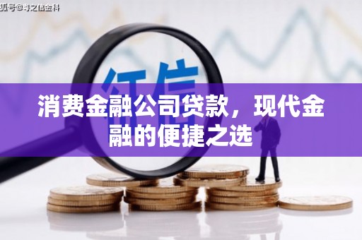 贞丰消费金融公司贷款，现代金融的便捷之选