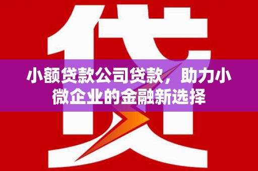 荆州小额贷款公司贷款，助力小微企业的金融新选择
