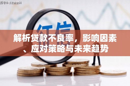鸡东解析贷款不良率，影响因素、应对策略与未来趋势