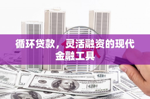 德保循环贷款，灵活融资的现代金融工具