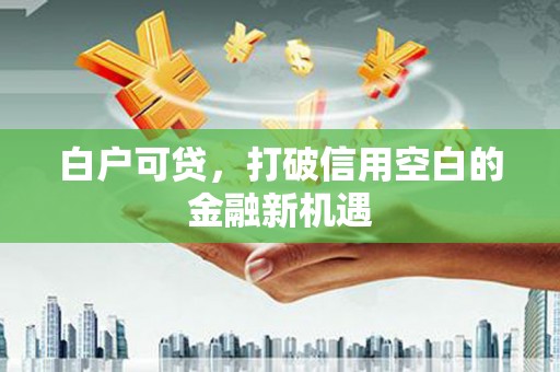 赤壁白户可贷，打破信用空白的金融新机遇