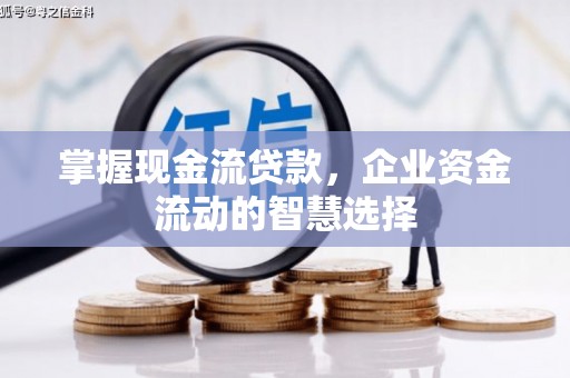 崇明掌握现金流贷款，企业资金流动的智慧选择