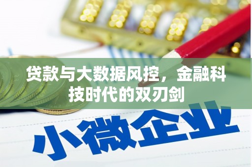 吴起贷款与大数据风控，金融科技时代的双刃剑