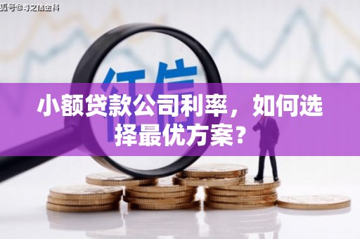 临淄小额贷款公司利率，如何选择最优方案？