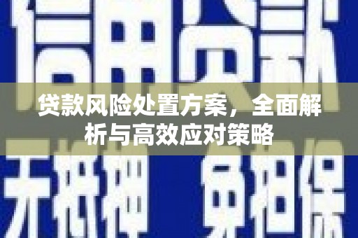 顺庆贷款风险处置方案，全面解析与高效应对策略