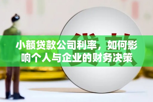 涞水小额贷款公司利率，如何影响个人与企业的财务决策
