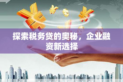 滦南探索税务贷的奥秘，企业融资新选择