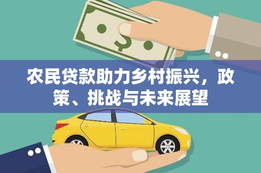水林农民贷款助力乡村振兴，政策、挑战与未来展望