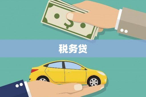 唐县税务贷