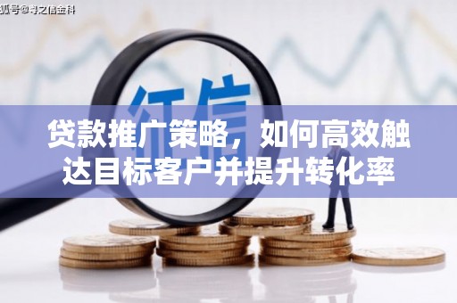 宝塔贷款推广策略，如何高效触达目标客户并提升转化率