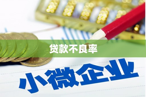 洛川贷款不良率