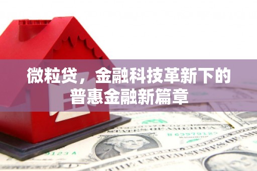 黑山微粒贷，金融科技革新下的普惠金融新篇章