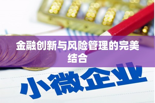 南岳金融创新与风险管理的完美结合
