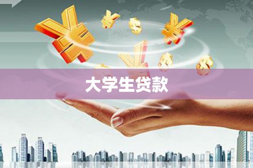 宝兴大学生贷款