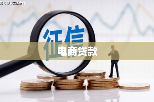 定结电商贷款