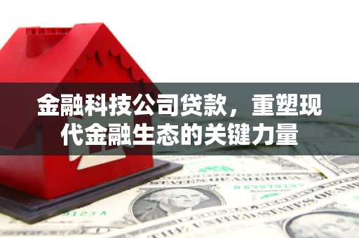 南阳金融科技公司贷款，重塑现代金融生态的关键力量