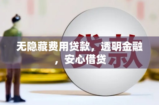 称多无隐藏费用贷款，透明金融，安心借贷