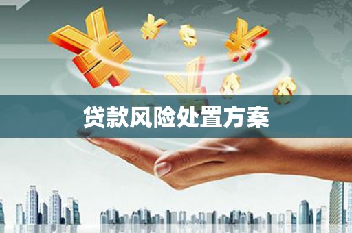 陆良贷款风险处置方案