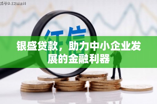 灵宝银盛贷款，助力中小企业发展的金融利器