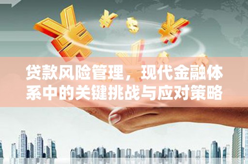 大宁贷款风险管理，现代金融体系中的关键挑战与应对策略