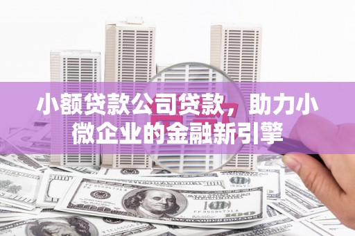 民丰小额贷款公司贷款，助力小微企业的金融新引擎