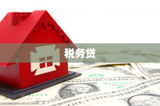宁乡税务贷