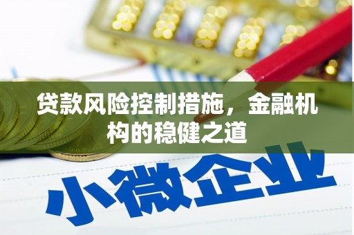 阜宁贷款风险控制措施，金融机构的稳健之道
