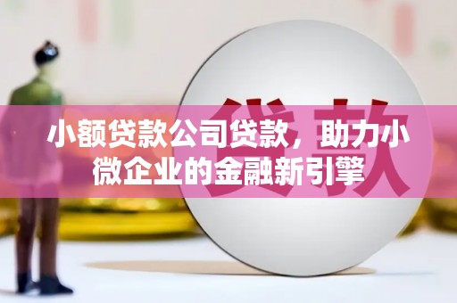 保税港区小额贷款公司贷款，助力小微企业的金融新引擎