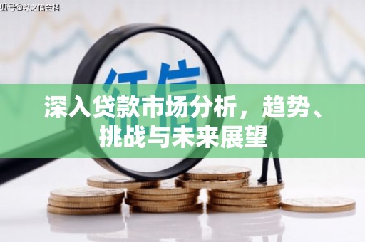 望城深入贷款市场分析，趋势、挑战与未来展望