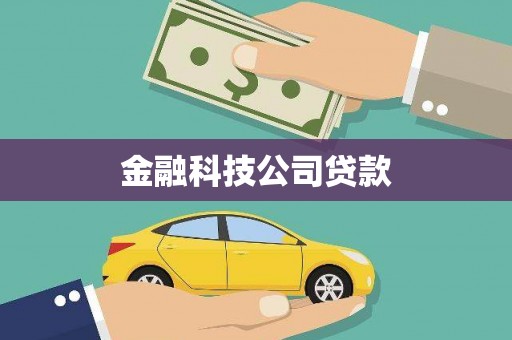 润州金融科技公司贷款