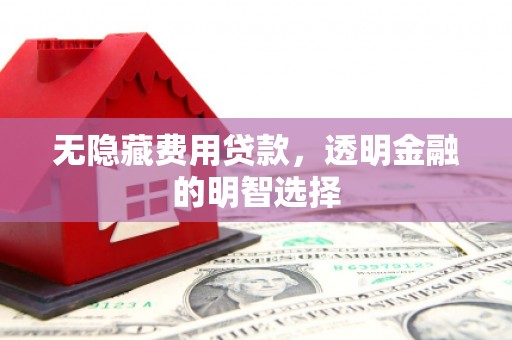 潜江无隐藏费用贷款，透明金融的明智选择