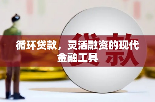苑里循环贷款，灵活融资的现代金融工具